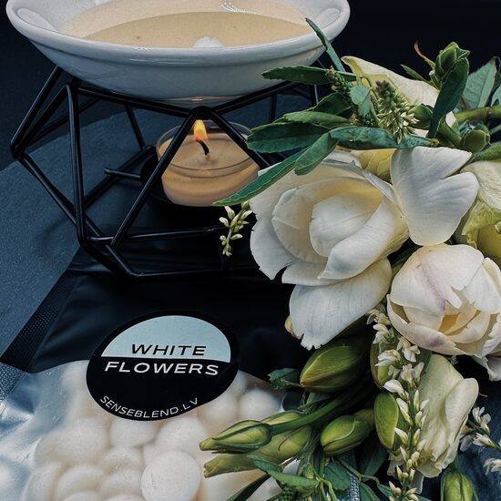 SCENTED WAX MELTS